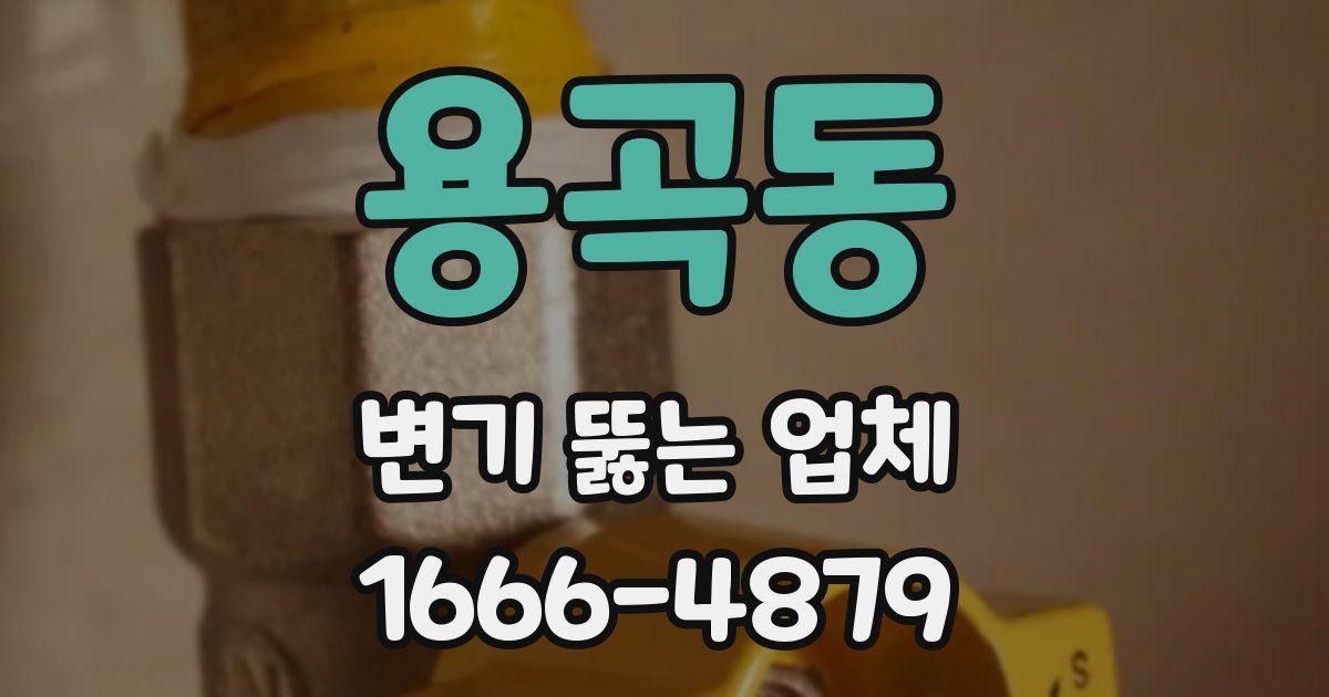 용곡동 변기 뚫는 업체