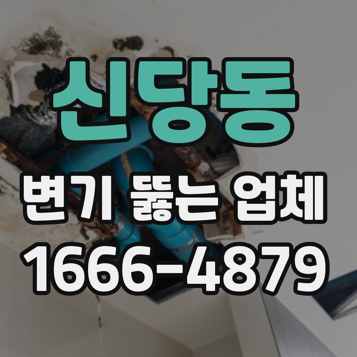 신당동 변기 뚫는 업체