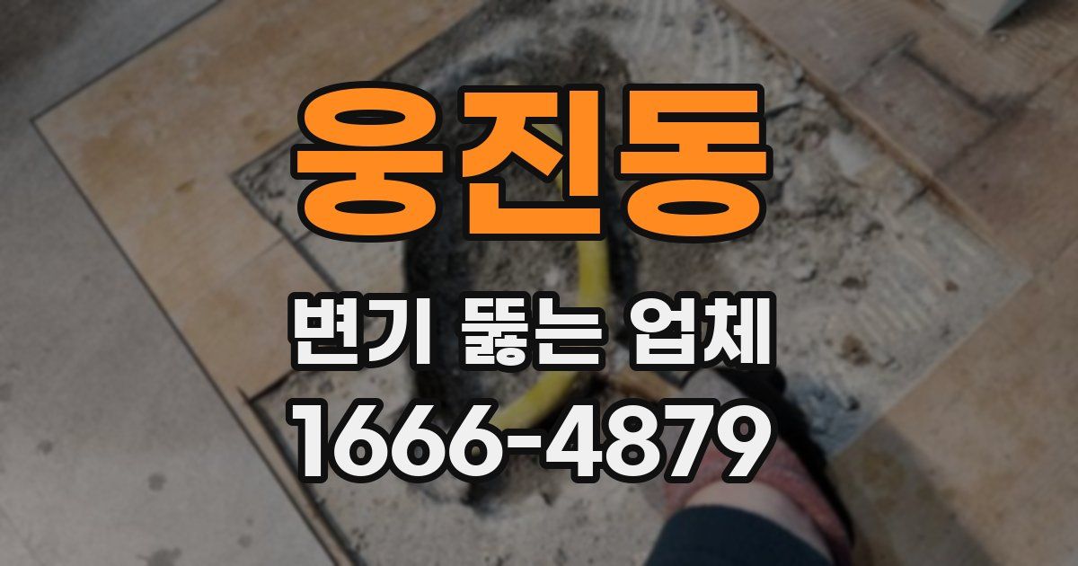 웅진동 변기 뚫는 업체