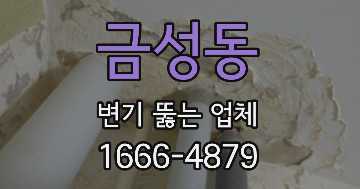 금성동 변기 뚫는 업체