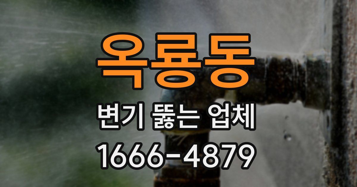 옥룡동 변기 뚫는 업체