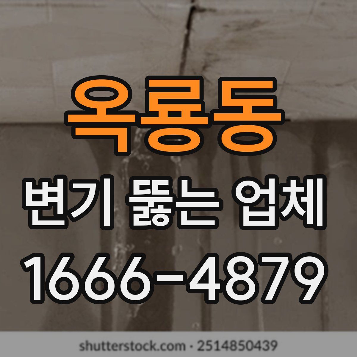 옥룡동 변기 뚫는 업체