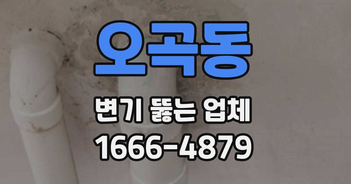 오곡동 변기 뚫는 업체