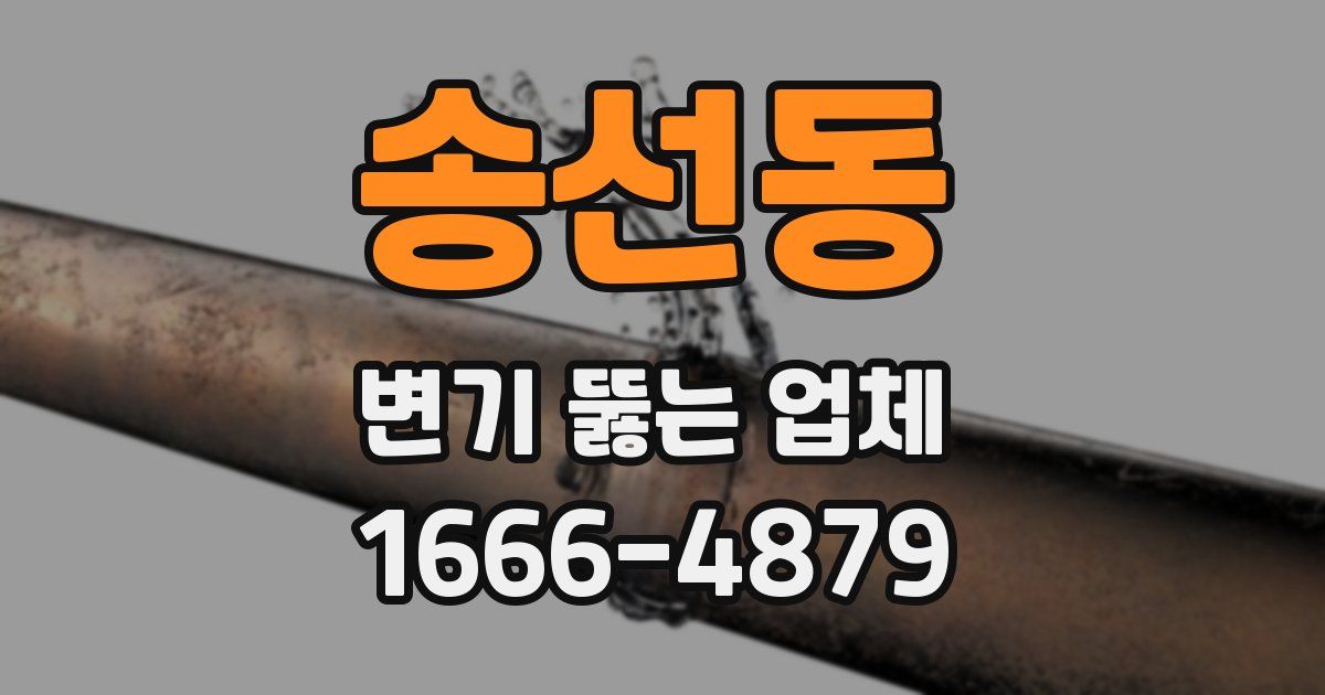송선동 변기 뚫는 업체