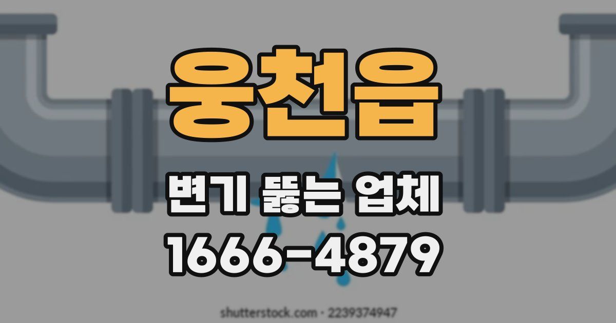 웅천읍 변기 뚫는 업체