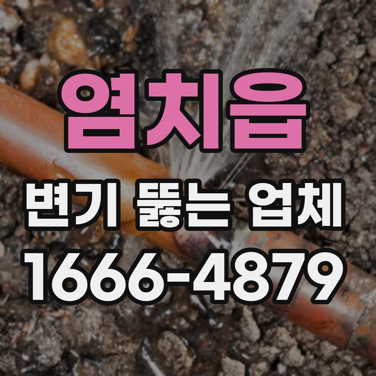 염치읍 변기 뚫는 업체