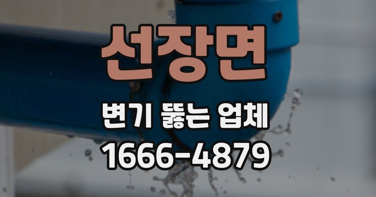선장면 변기 뚫는 업체