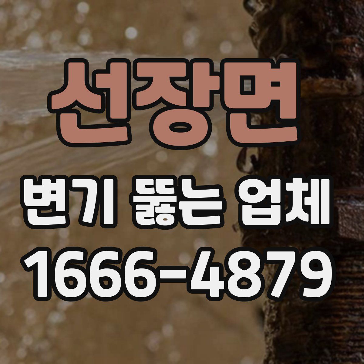 선장면 변기 뚫는 업체