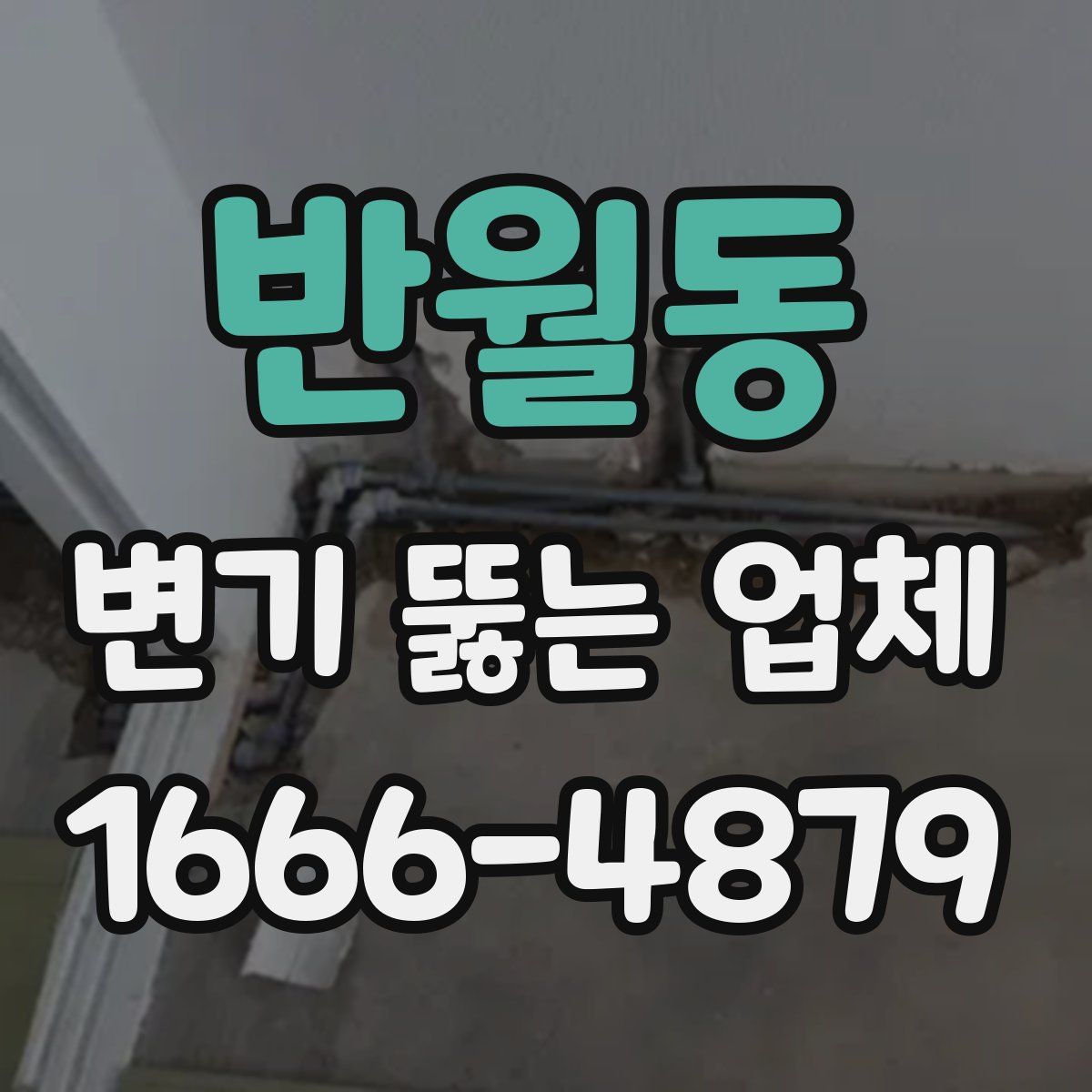 반월동 변기 뚫는 업체