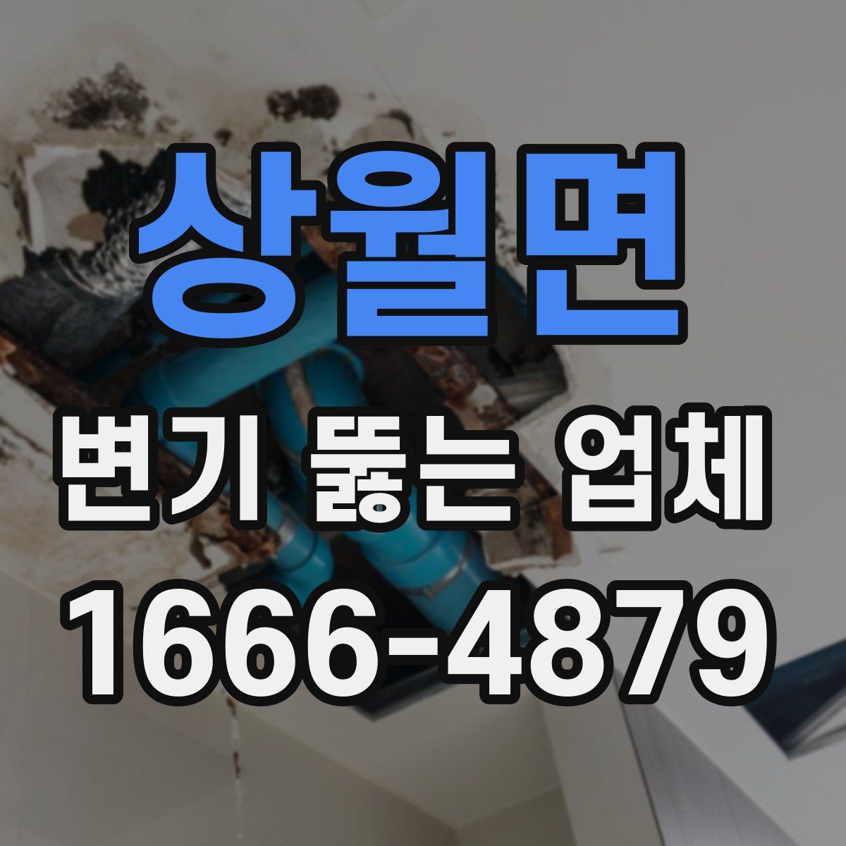 상월면 변기 뚫는 업체