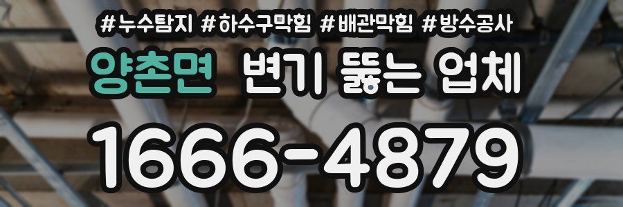 양촌면 변기 뚫는 업체
