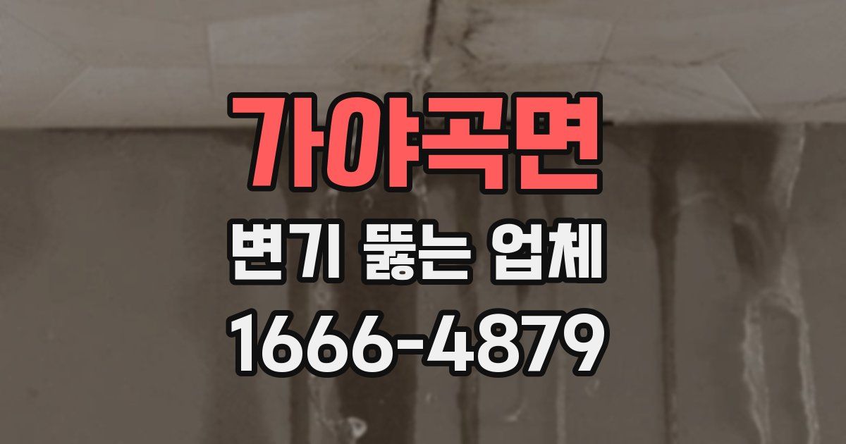 가야곡면 변기 뚫는 업체