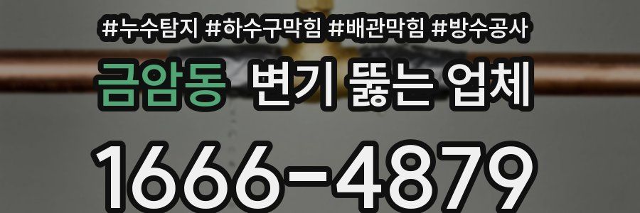 금암동 변기 뚫는 업체