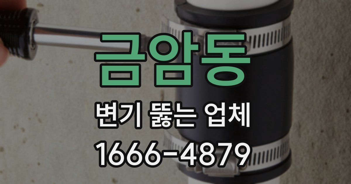 금암동 변기 뚫는 업체