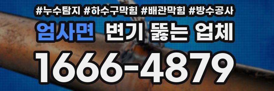 엄사면 변기 뚫는 업체
