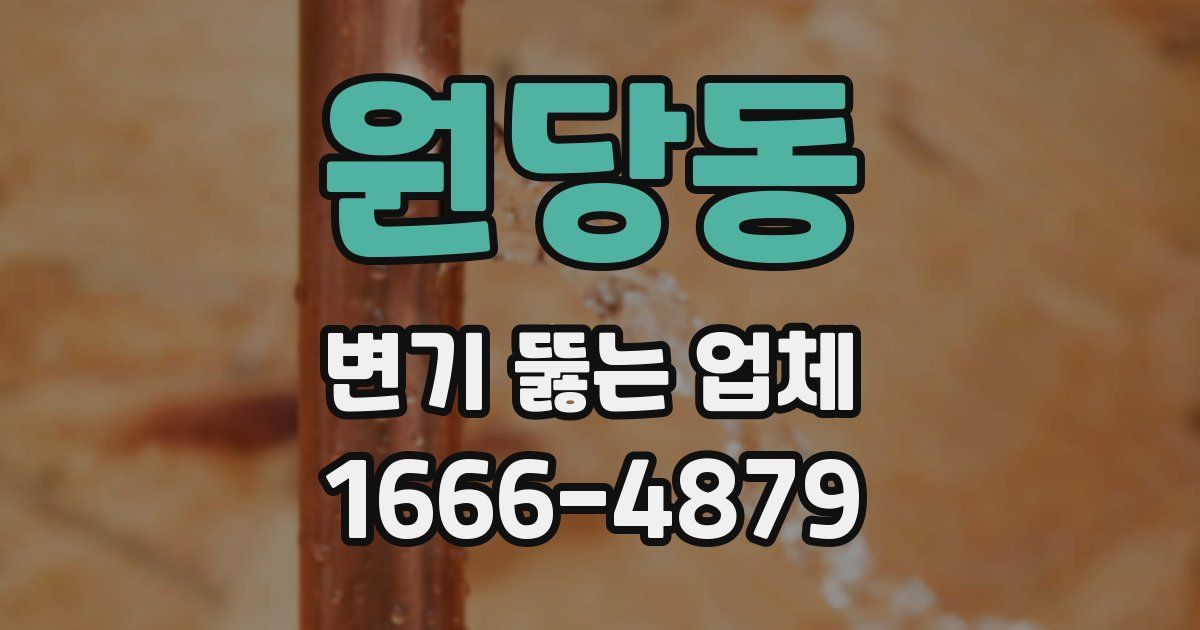 원당동 변기 뚫는 업체