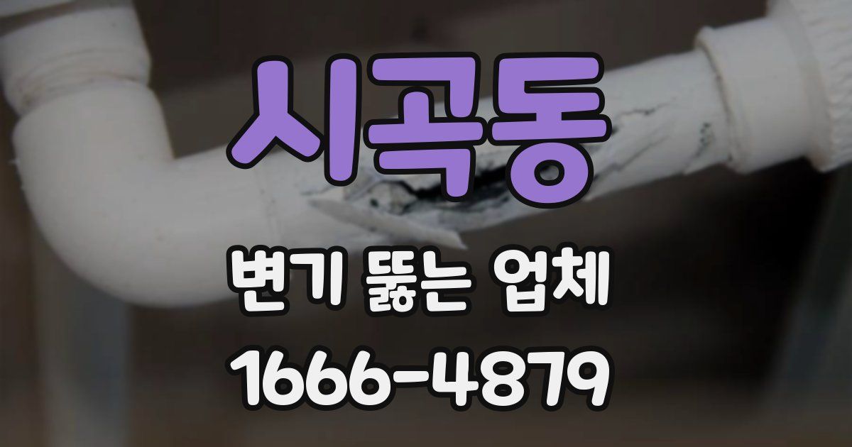 시곡동 변기 뚫는 업체