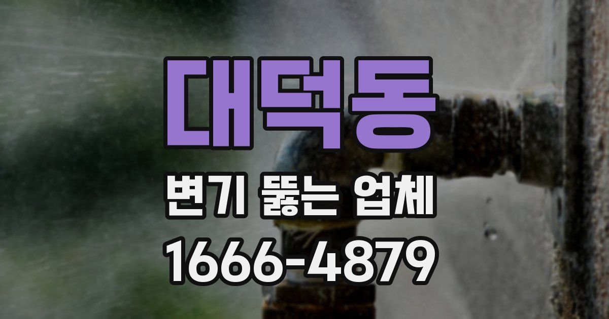 대덕동 변기 뚫는 업체