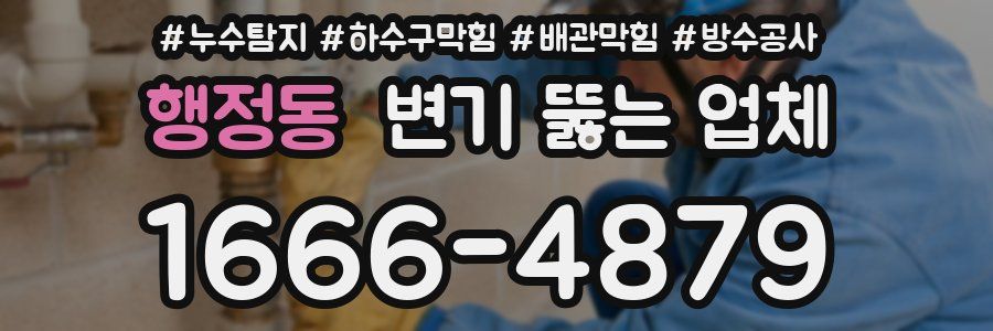 행정동 변기 뚫는 업체
