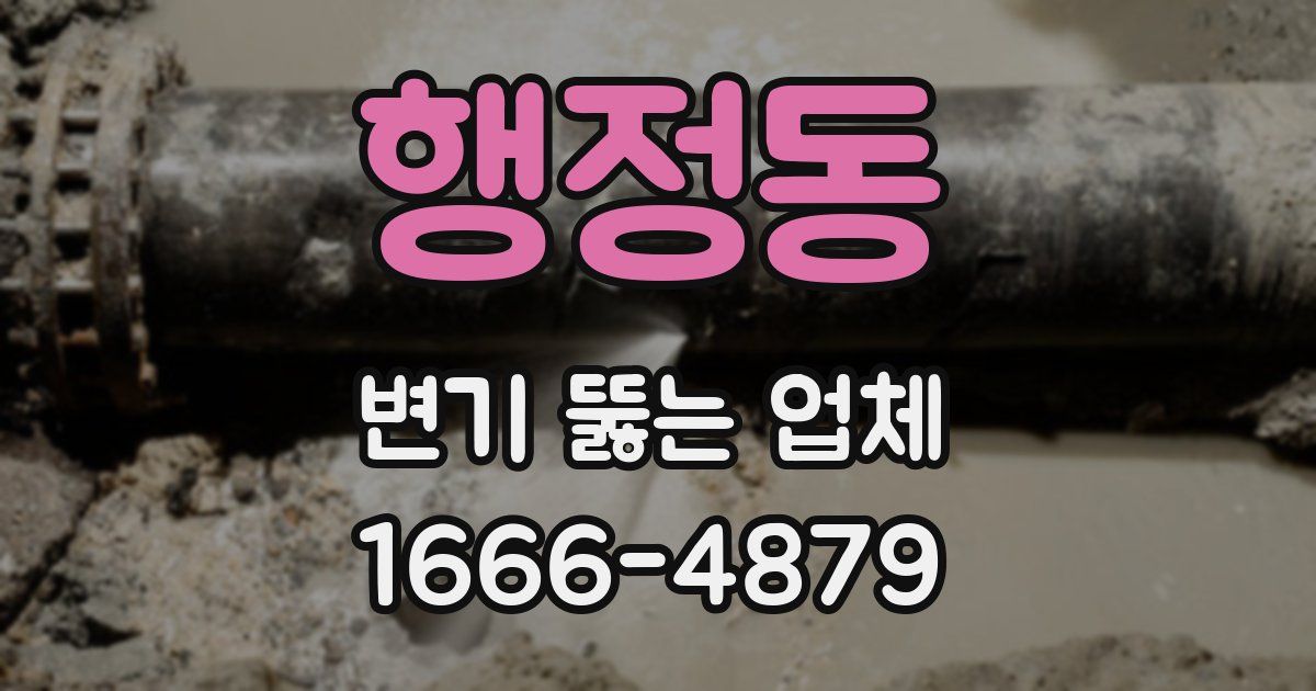 행정동 변기 뚫는 업체