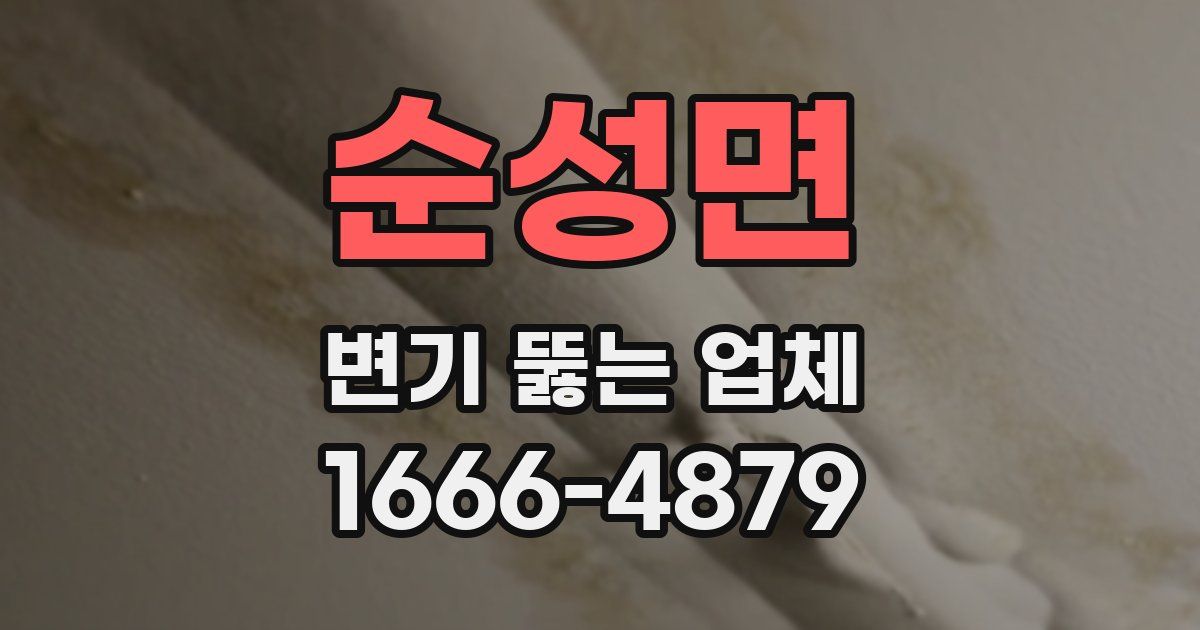순성면 변기 뚫는 업체