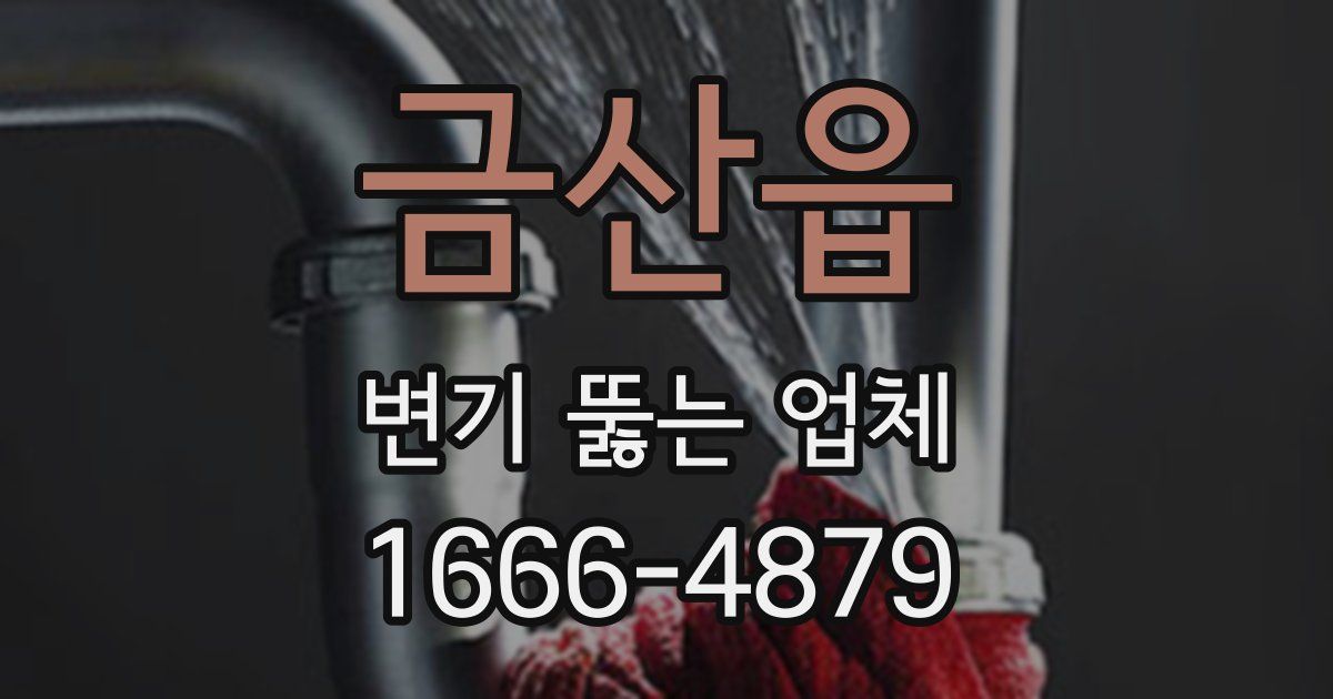 금산읍 변기 뚫는 업체
