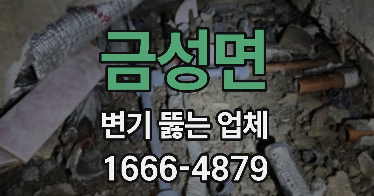 금성면 변기 뚫는 업체