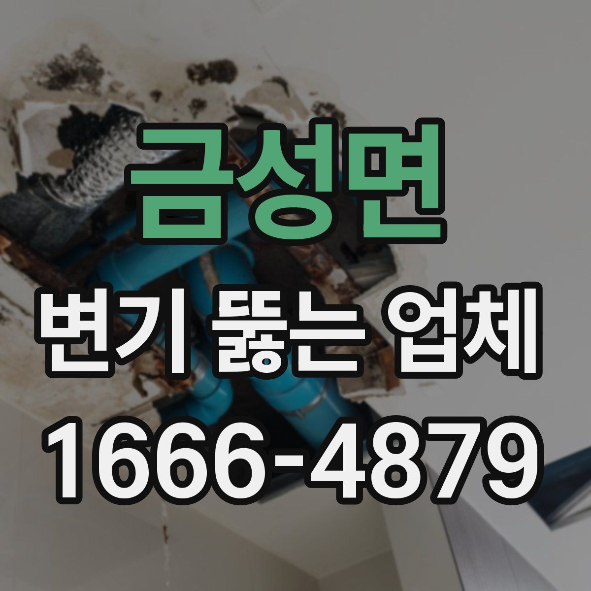금성면 변기 뚫는 업체