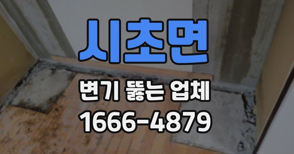 시초면 변기 뚫는 업체