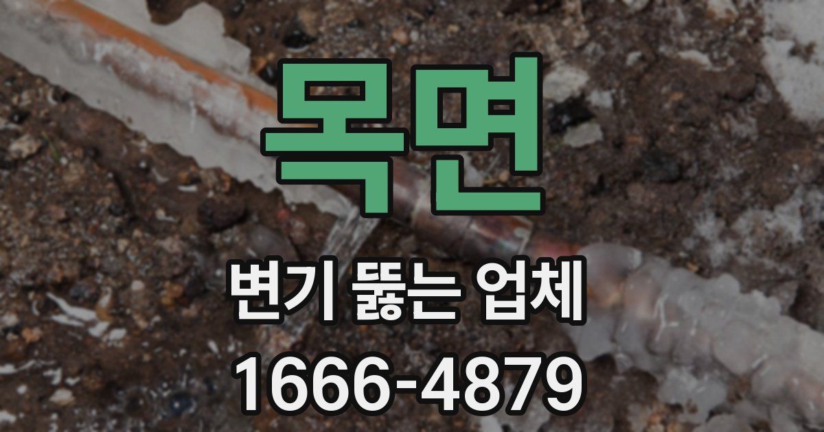 목면 변기 뚫는 업체