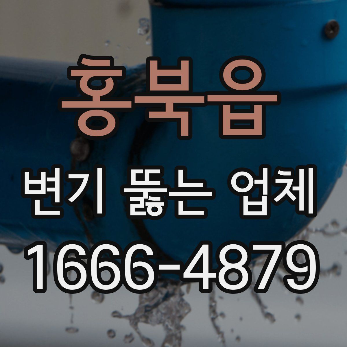 홍북읍 변기 뚫는 업체