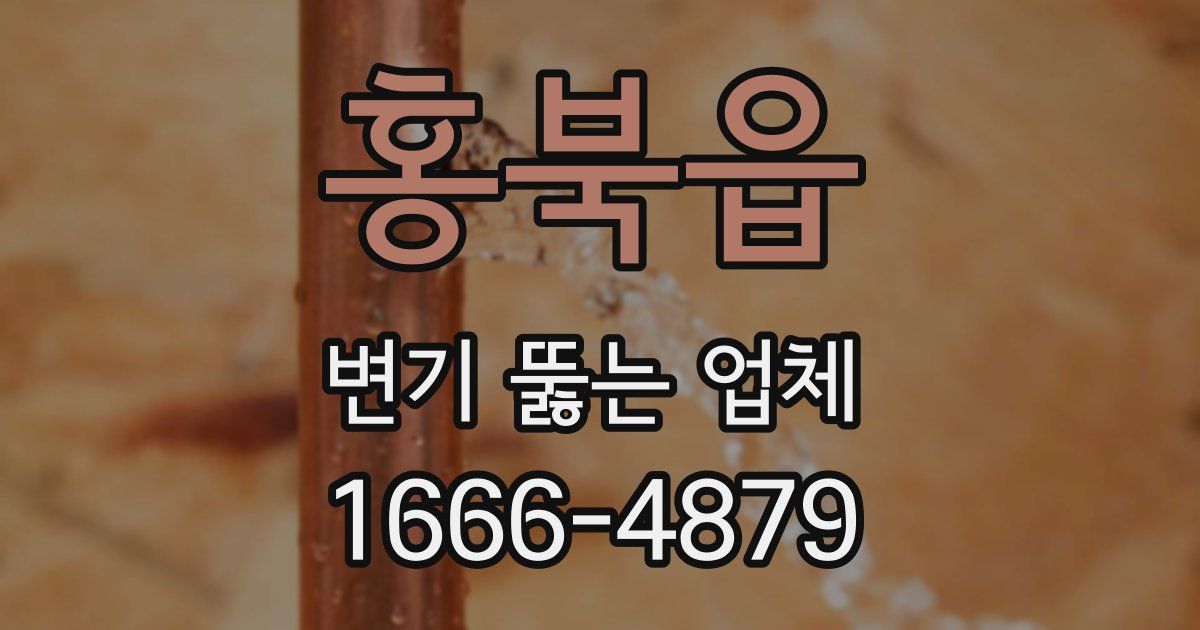 홍북읍 변기 뚫는 업체