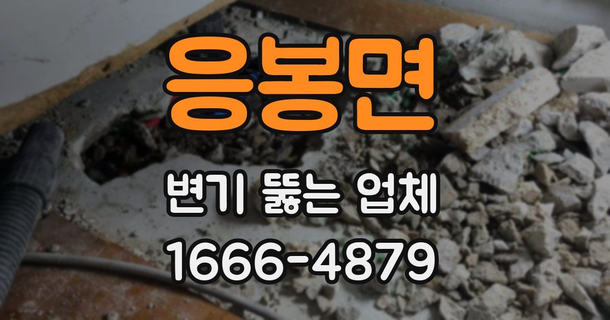 응봉면 변기 뚫는 업체