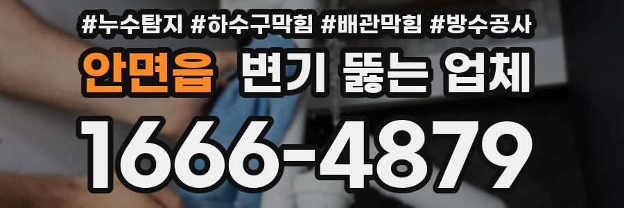 안면읍 변기 뚫는 업체