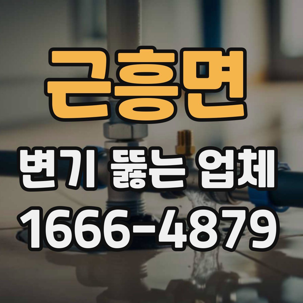 근흥면 변기 뚫는 업체