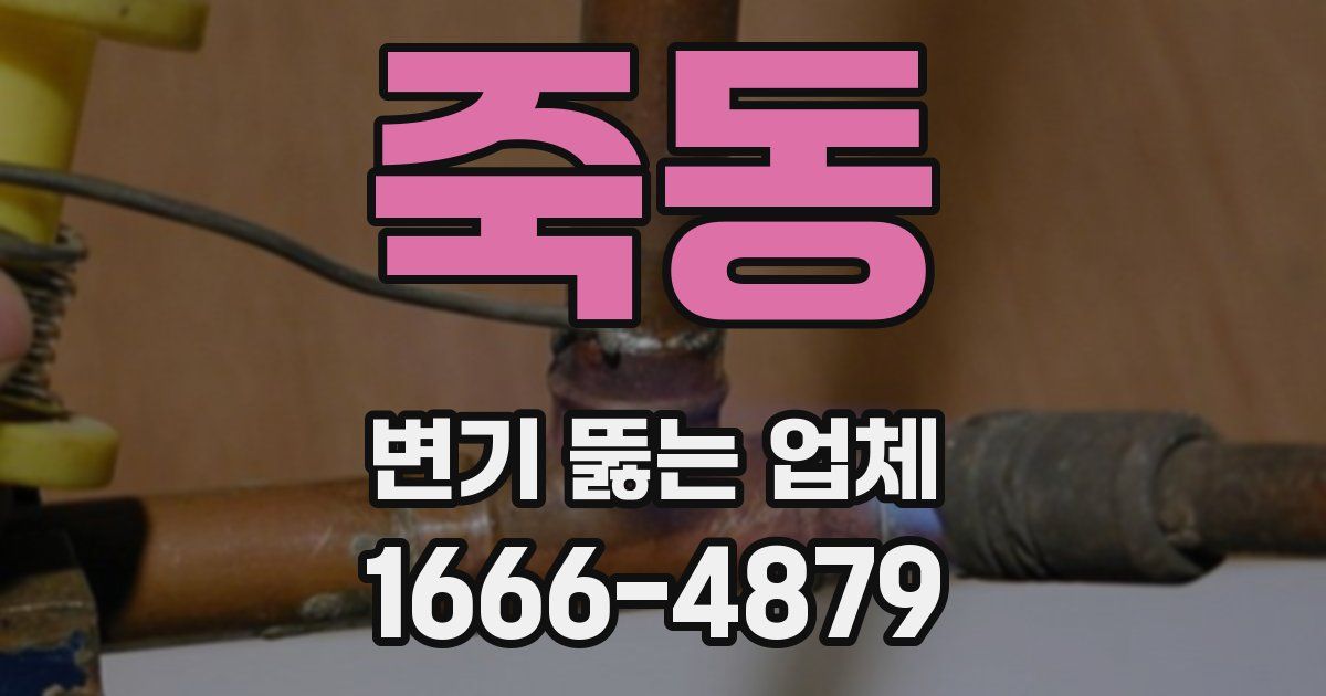 죽동 변기 뚫는 업체
