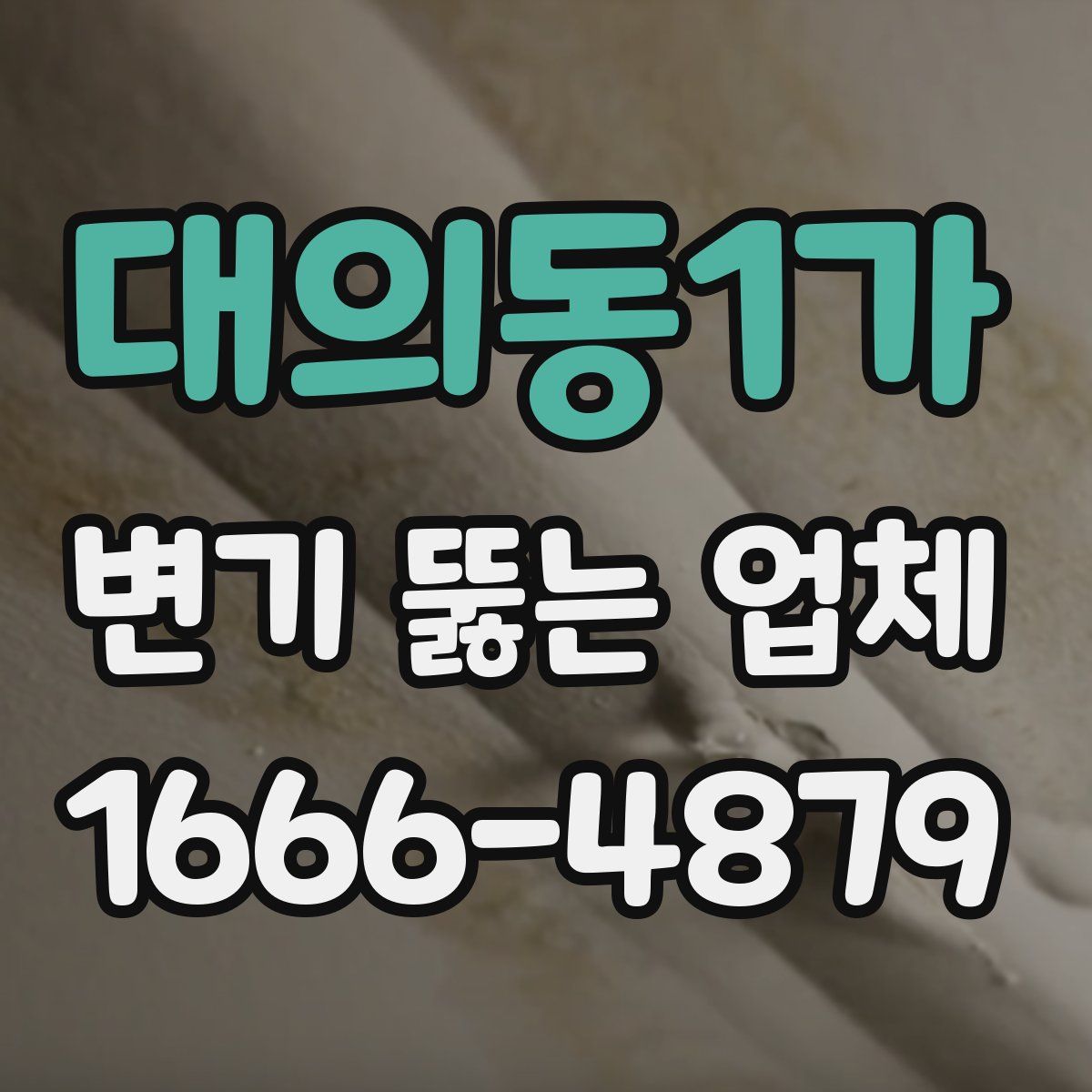 대의동1가 변기 뚫는 업체