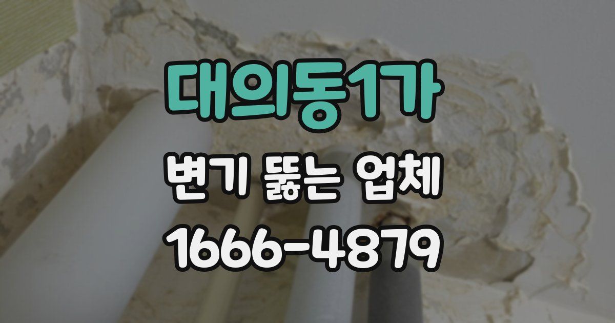 대의동1가 변기 뚫는 업체
