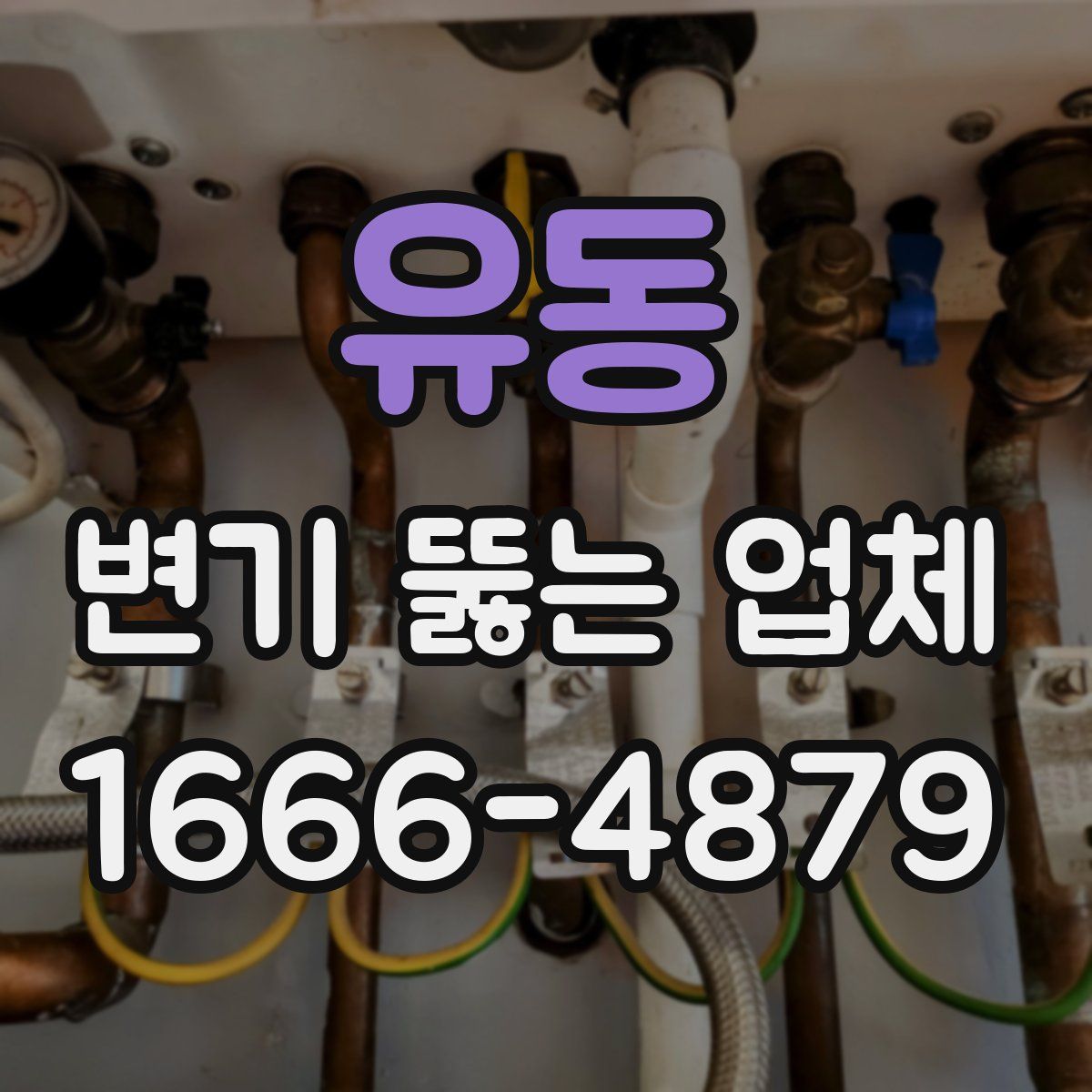 유동 변기 뚫는 업체