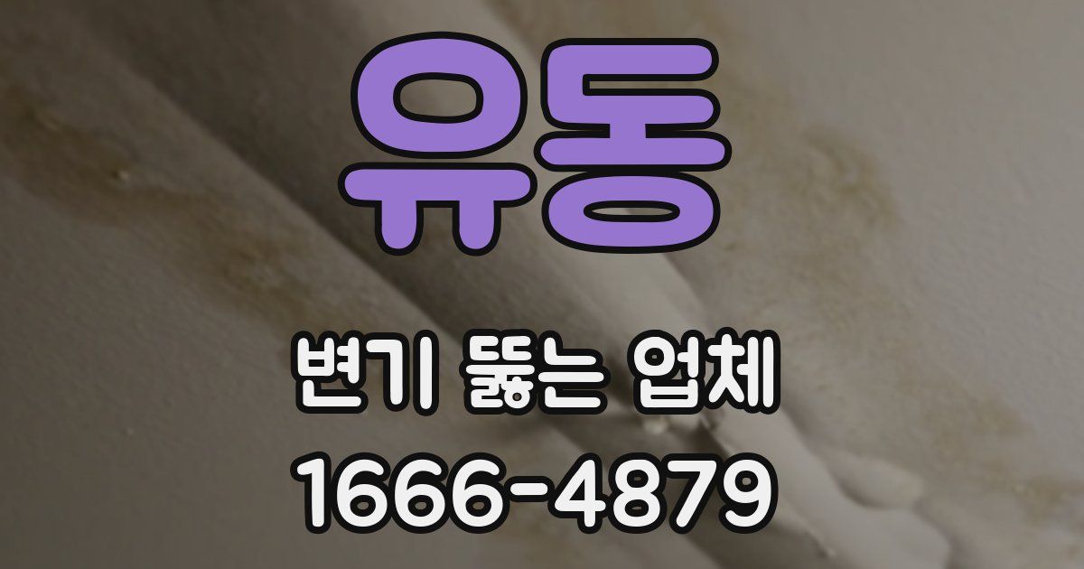 유동 변기 뚫는 업체