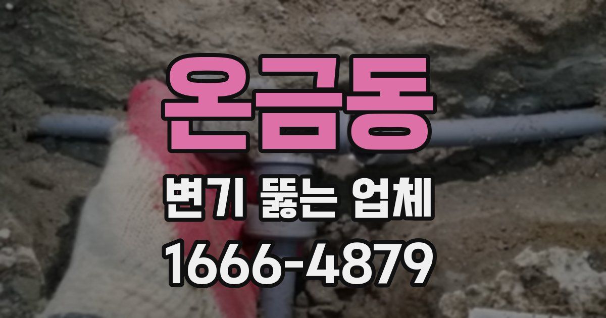 온금동 변기 뚫는 업체