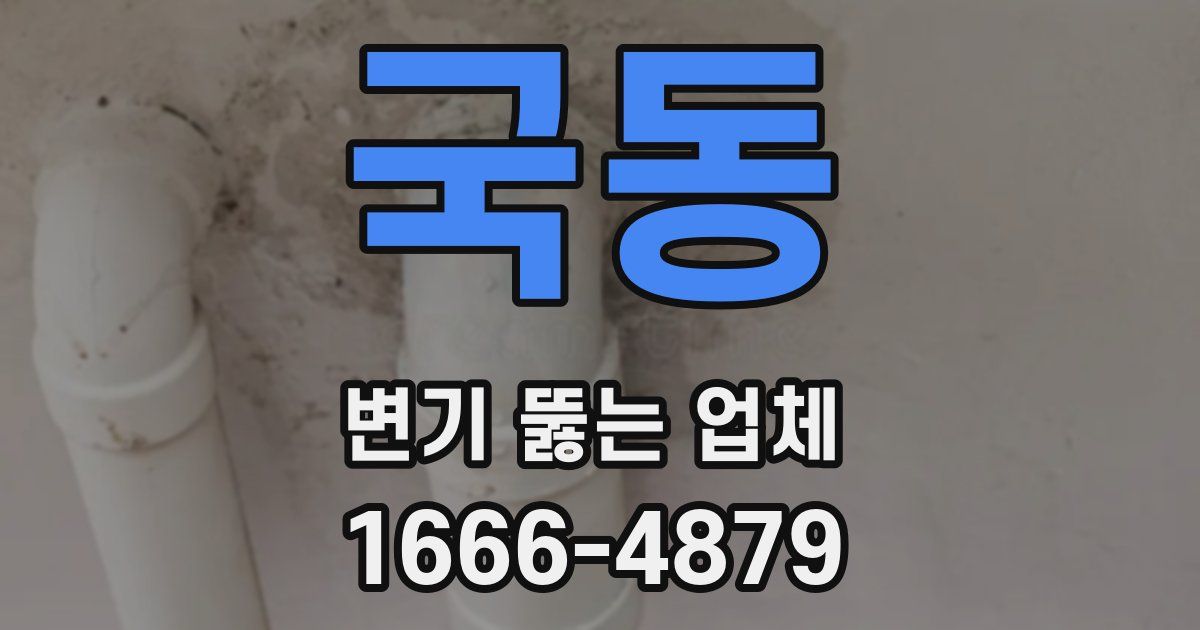 국동 변기 뚫는 업체