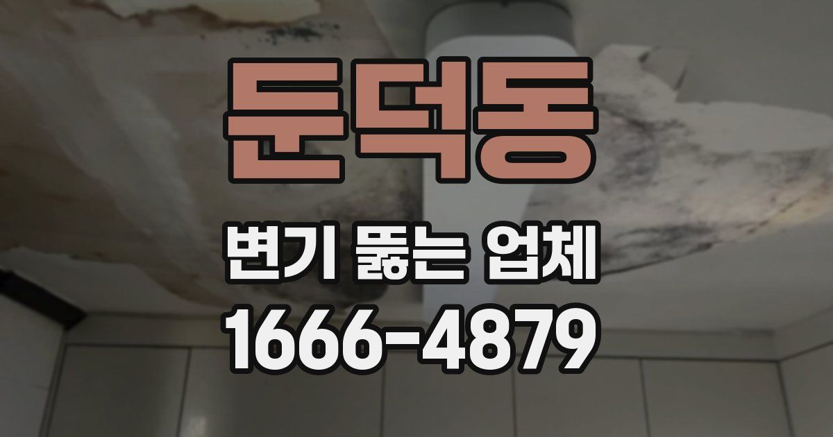 둔덕동 변기 뚫는 업체