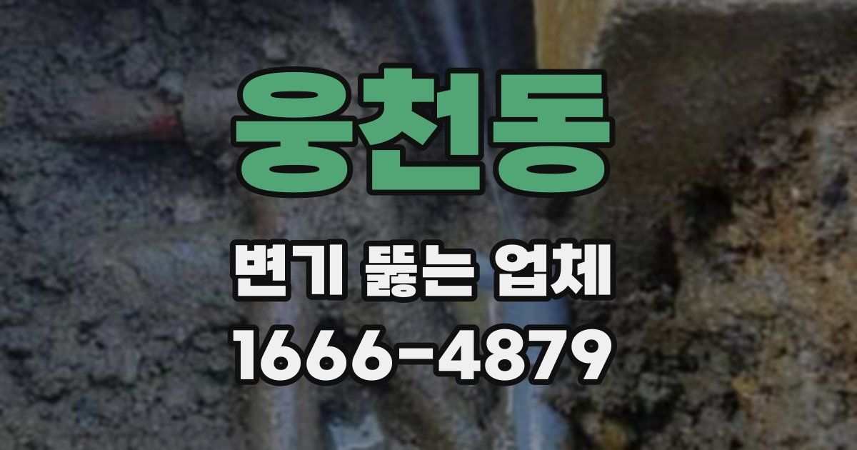 웅천동 변기 뚫는 업체