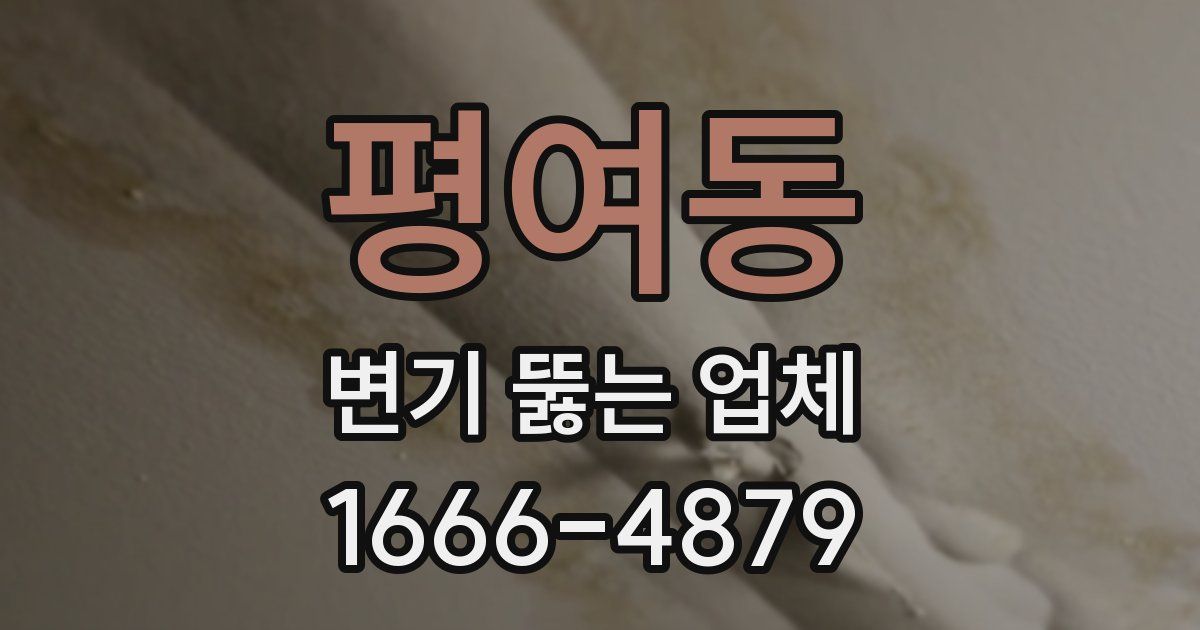 평여동 변기 뚫는 업체