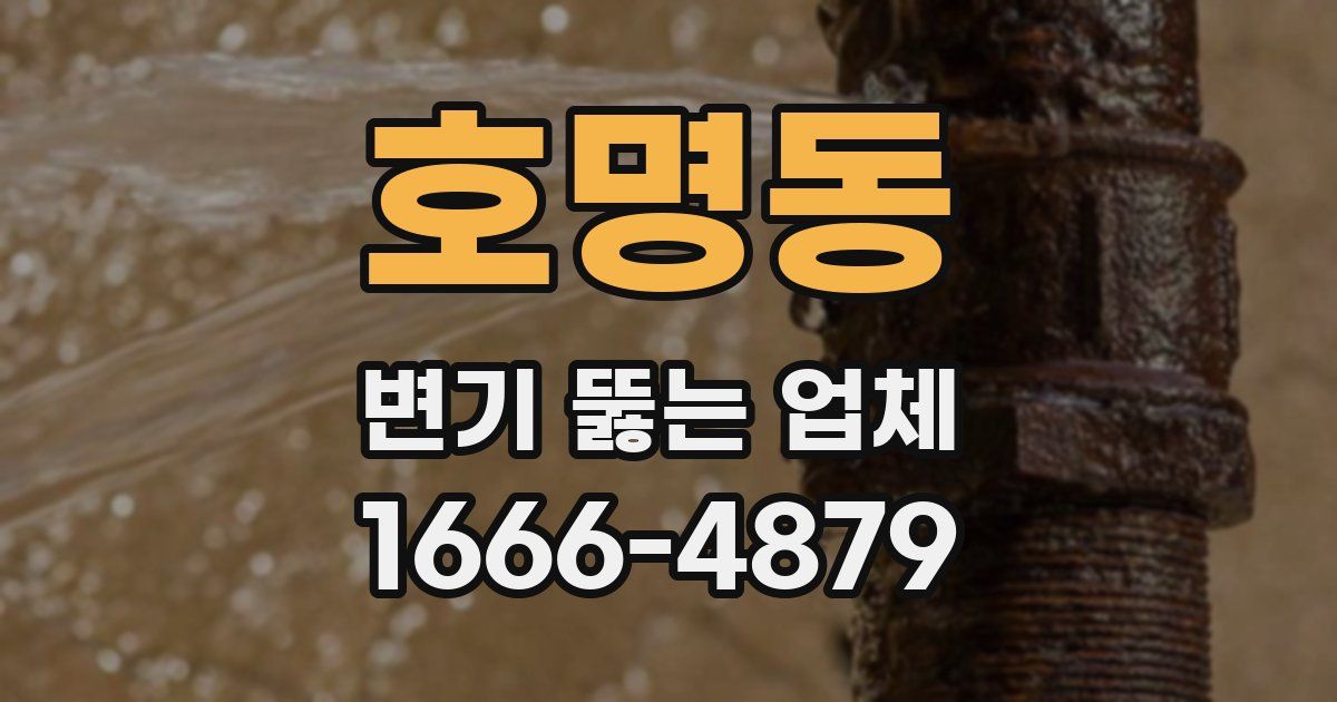 호명동 변기 뚫는 업체