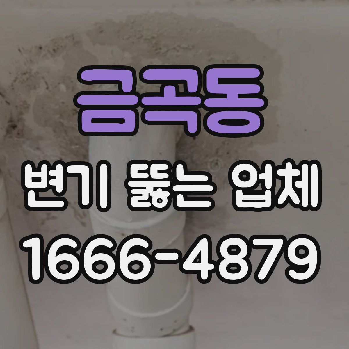 금곡동 변기 뚫는 업체