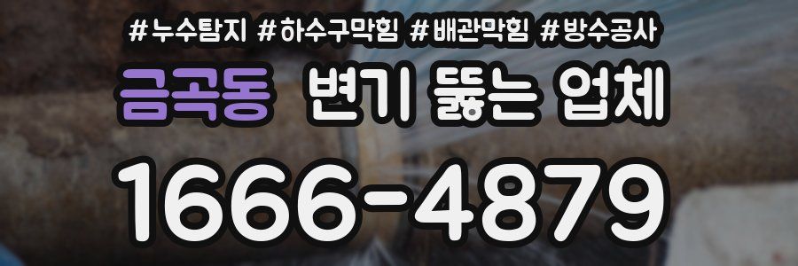 금곡동 변기 뚫는 업체