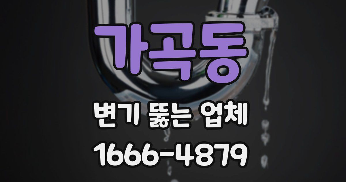 가곡동 변기 뚫는 업체