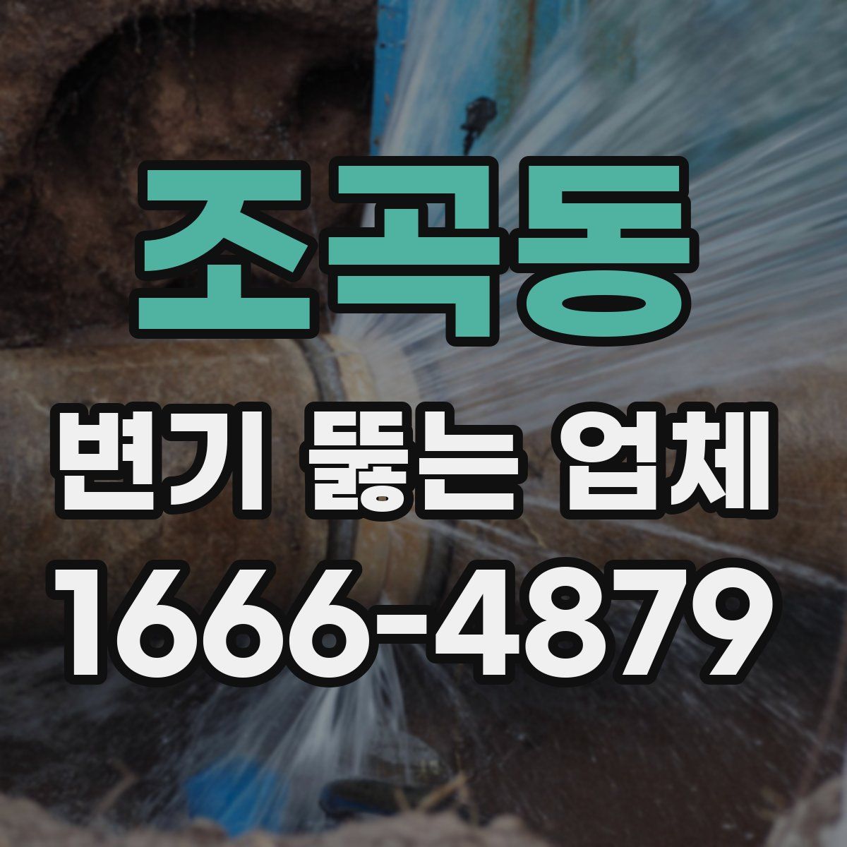 조곡동 변기 뚫는 업체